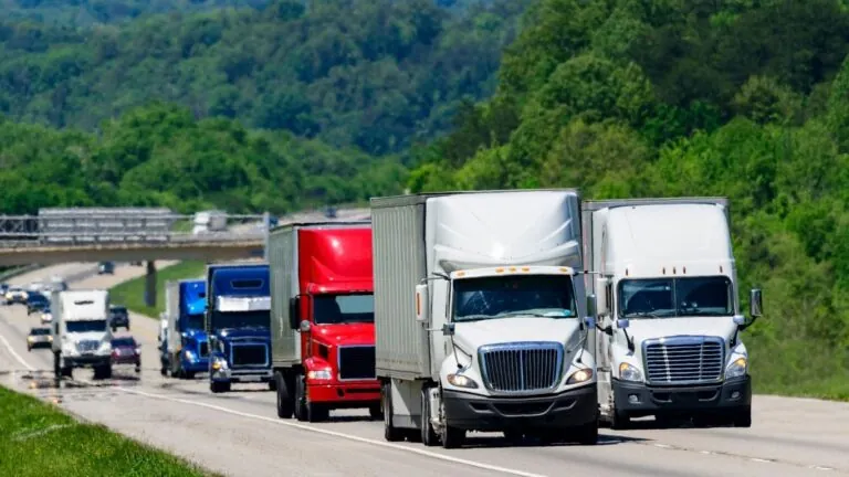mudanças interestaduais: caminhões baú transitando em rodovia.