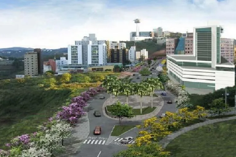 Empresa de Mudanças em Nova Lima: foto de avenida de um dos bairro da cidade com prédios, arvores com flores.