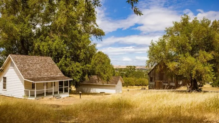 Viver no campo: casa no campo com arvores atrás